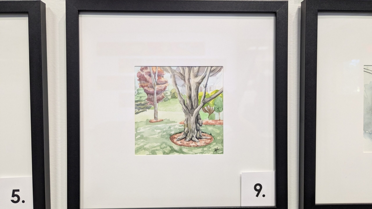 5x5 watercolor painting of a large tree in Wagner Park, Manchester, NH in a 10x10 frame.