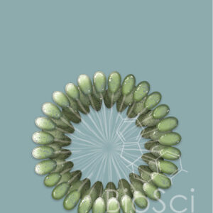Toxic Cyanobacteria Illustration on a grey background with BioSci Creative Watermark. -
