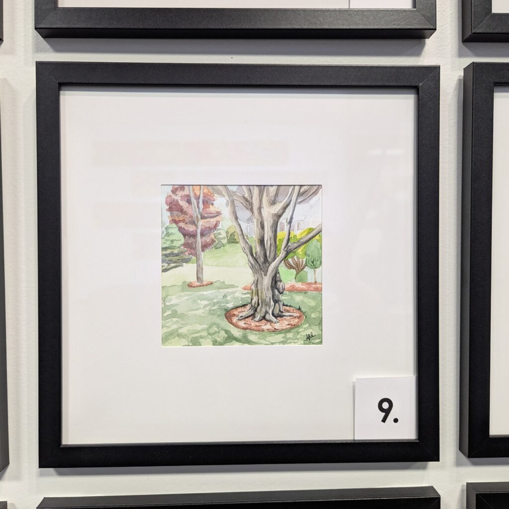 5x5 watercolor painting of a large tree in Wagner Park, Manchester, NH in a 10x10 frame.