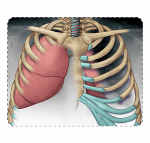 Thorasic XRay enhancement